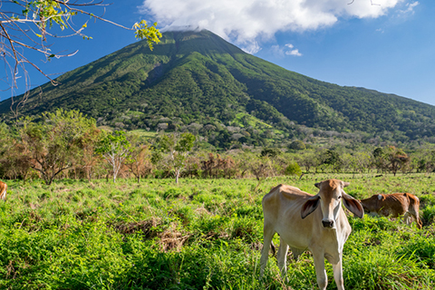 Island Ometepe in Nicaragua